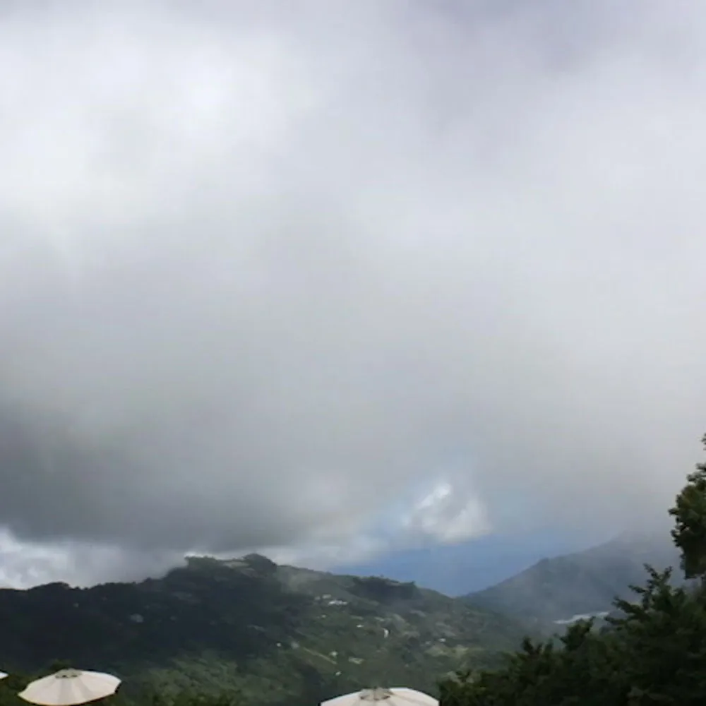 雲霧繚繞的金針山稜線