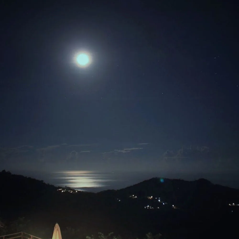 金針山上的月夜
